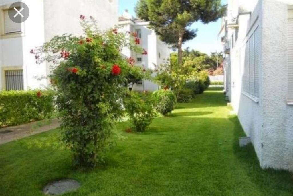 Acogedor Apartamento A 100 M. De Pinares Y Playa Rota Exterior photo
