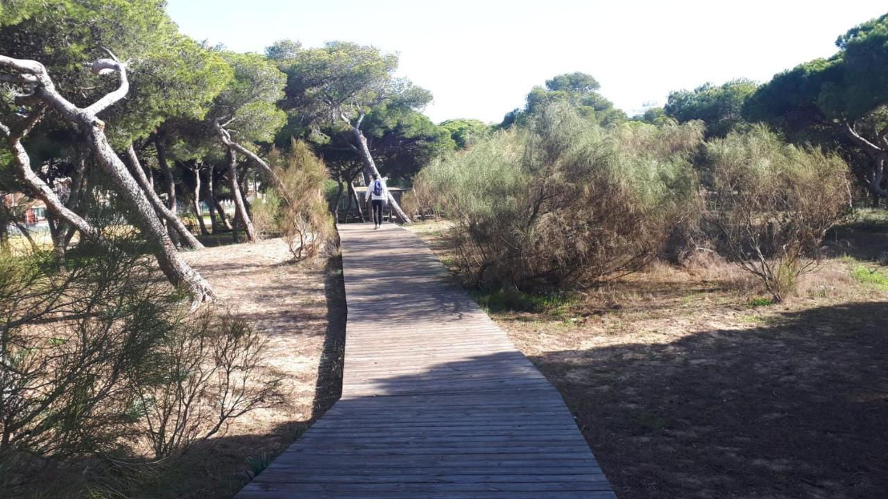 Acogedor Apartamento A 100 M. De Pinares Y Playa Rota Exterior photo